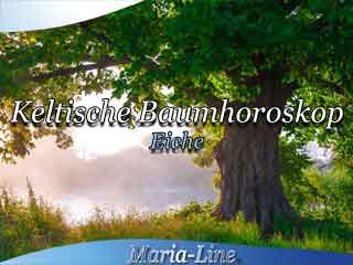 Eiche - Das keltische Baumhoroskop Eiche - Das keltische Baumhoroskop