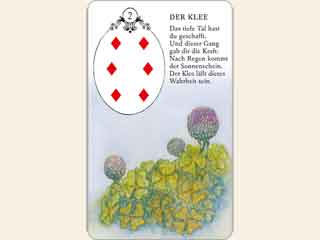 Der Klee