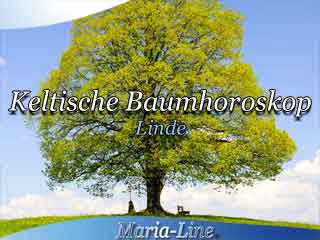 Linde - Das keltische Baumhoroskop